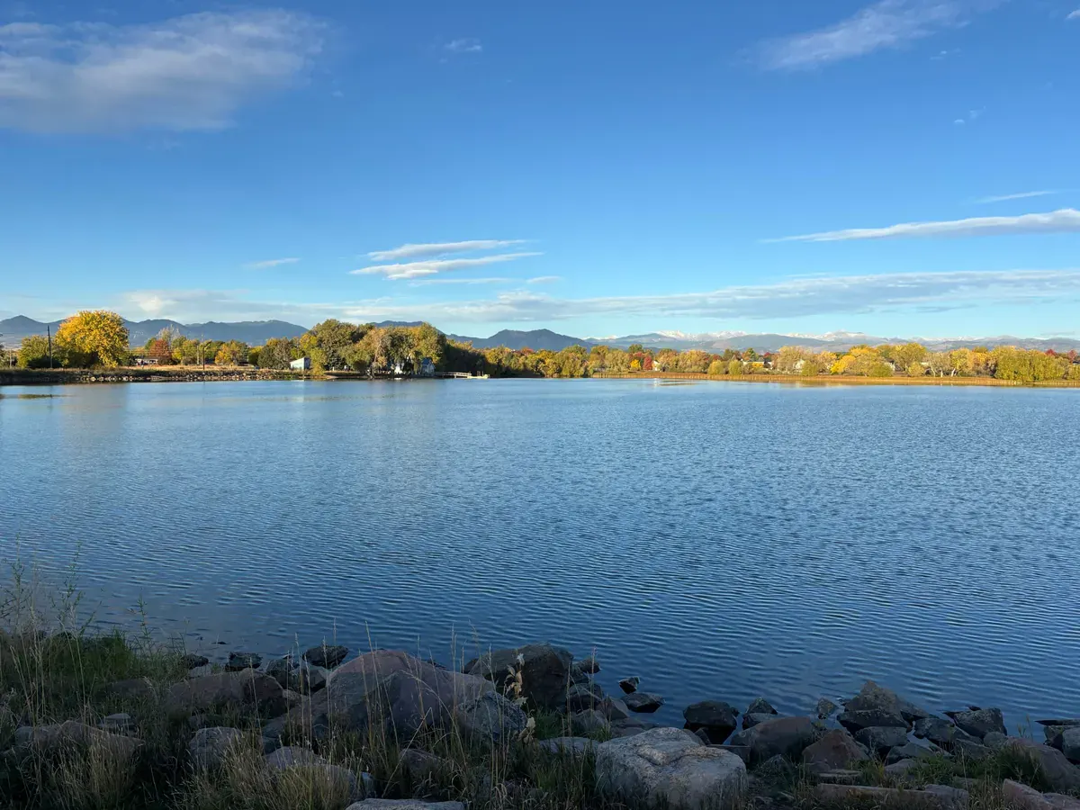 Movers in Lafayette, CO
